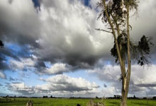 杏彩体育官网：高尔夫蓝湾大师赛挥杆 中泰选手友好交流新华网.