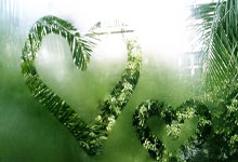 杏彩体育官网：短道速滑——世锦赛：女子3000米接力：加拿大队夺冠.